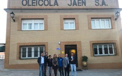 Renovación patrocinio Club de Atletismo Fundación Grupo Oleícola Jaén